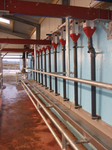 Dairy Feed Systems Ids