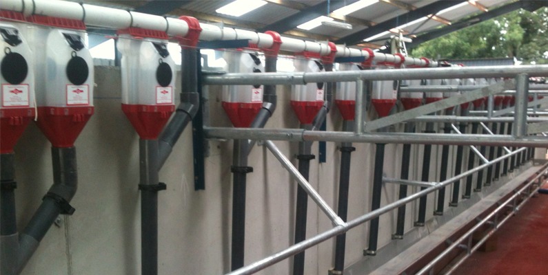 IDS feeding systems for both liquid feed and dry feed